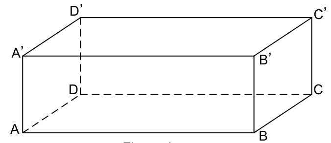 Figura 1: paralelipipedul dreptunghic ABCDA'B'C'D' (bazinul), lung și puțin înalt.