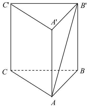 Figura 1: prisma triunghiulară dreaptă ABCA'B'C', cu diagonala AB' a feței laterale ABB'A'.