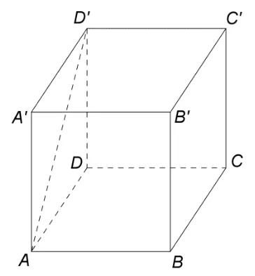 Figura 1: cubul ABCDA'B'C'D' cu diagonala de față AD' trasată.