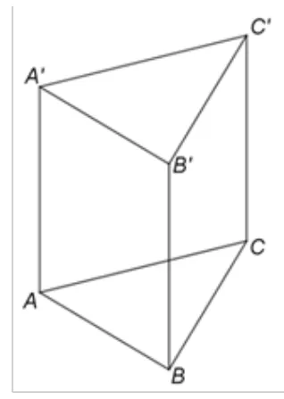 Figura 1: prisma triunghiulară ABCA'B'C', cu baze echilaterale; A'C' este paralelă cu AC.