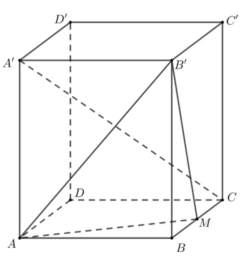 Paralelipipedul dreptunghic ABCDA'B'C'D' cu M mijlocul muchiei BC; sunt trasate A'C, AB', B'M și AM.