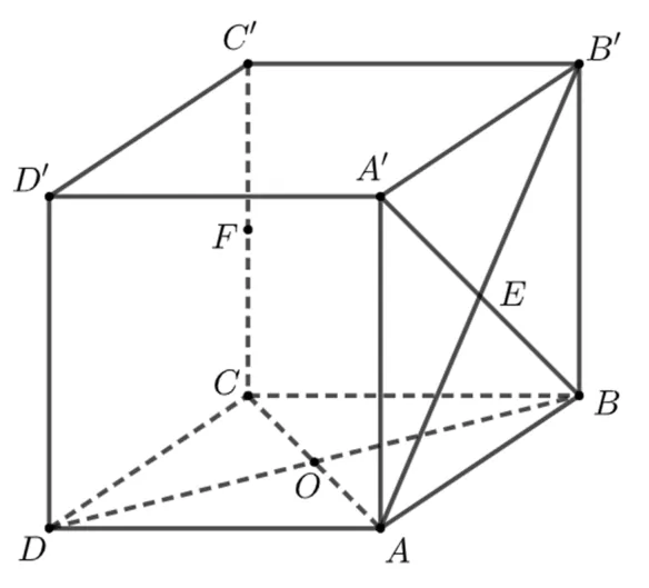 Cubul ABCDA'B'C'D'; O este centrul bazei ABCD, E centrul feței ABB'A', F mijlocul muchiei CC'.